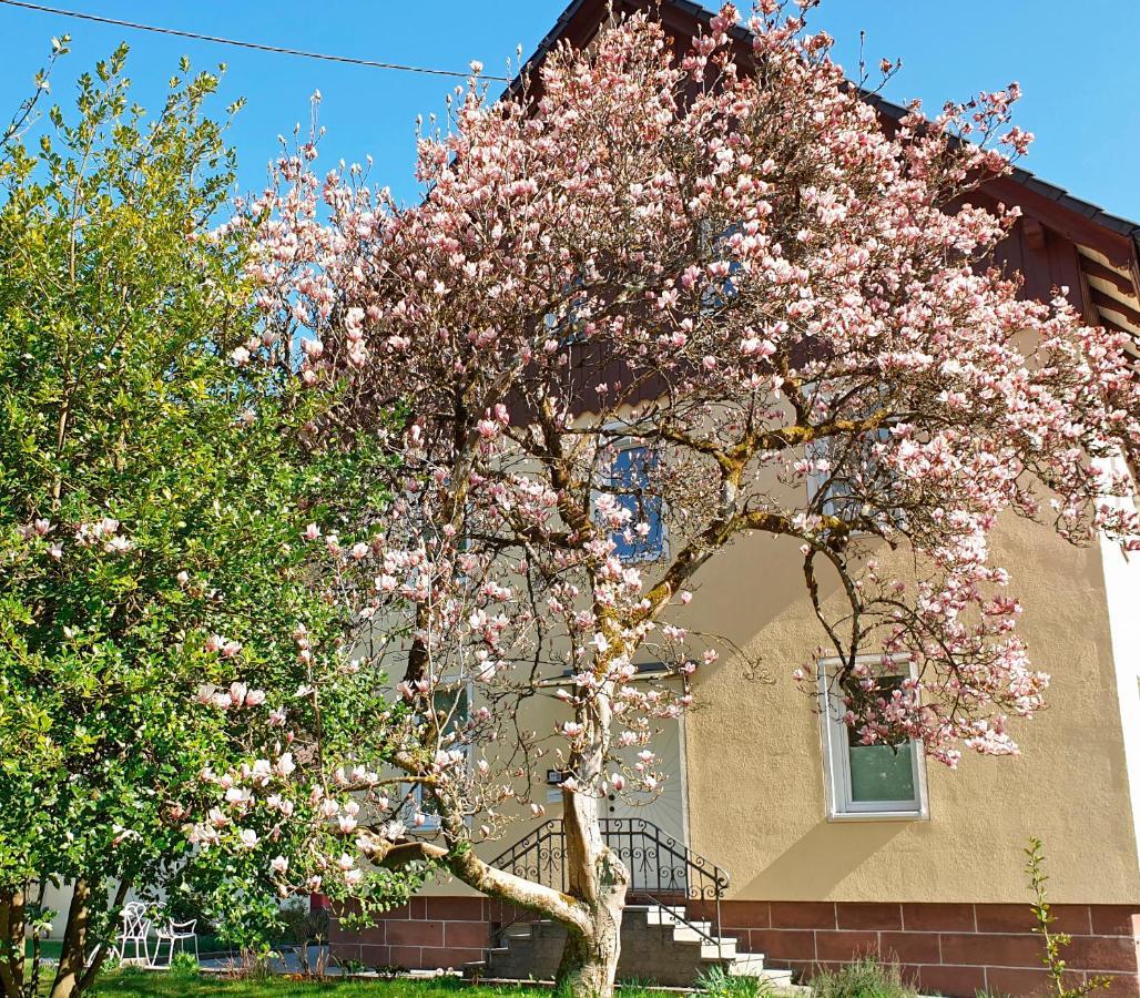 Appartement Liebevoll Gaestewohnungen *