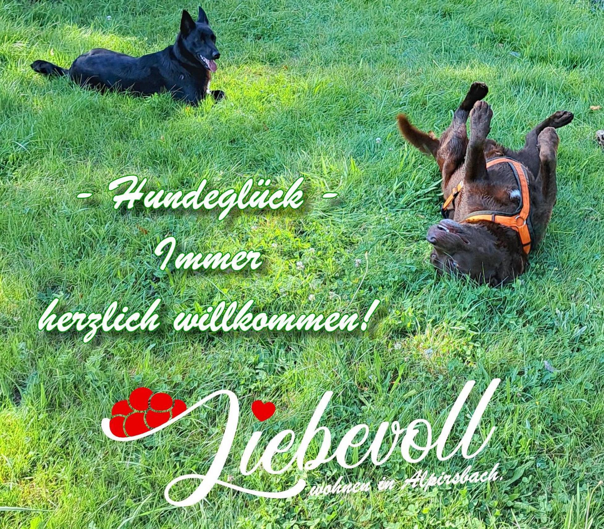 Liebevoll Gaestewohnungen Alpirsbach
